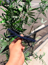 Load image into Gallery viewer, BALENCIAGA Logo Sunglasses - Navy - PreOwned - Retails $450+ -
