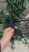 Load and play video in Gallery viewer, BALENCIAGA Logo Sunglasses - Navy - PreOwned - Retails $450+ -
